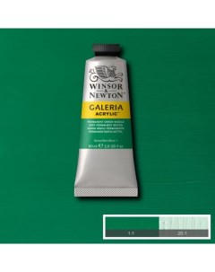 Акрил Winsor Newton Galeria 60 мл Перманентный зеленый средний Winsor & newton