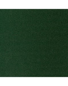 Бумага для пастели Pastel Card 50 65 см 360 г темно зеленый Sennelier
