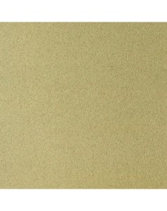 Бумага для пастели Pastel Card 50 65 см 360 г светло зеленый Sennelier