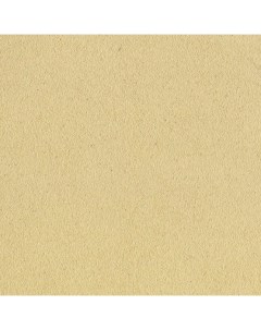 Бумага для пастели Pastel Card 50 65 см 360 г белый античный Sennelier