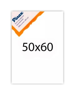 Холст грунтованный на картоне 280 г 50x60 см Pinax