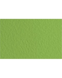 Бумага для пастели Tiziano 50x65 см 160 г 14 зеленый мох Fabriano