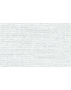 Бумага для пастели Палаццо 50x70 см 160 г белый лед Лилия холдинг