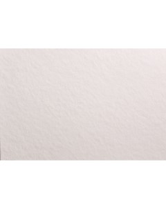 Бумага для акварели White Swan Torchon 50х70 см 250 г 10 хлопка 1 лист Малевичъ