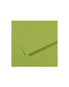Бумага для пастели MI TEINTES 21x29 7 см 160 г 475 зеленое яблоко Canson