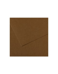 Бумага для пастели MI TEINTES 75x110 см 160 г 501 каштановый Canson