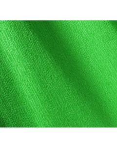 Бумага крепированная рулон 50х250 см 48 г Травяной зеленый Canson