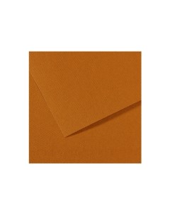 Бумага для пастели MI TEINTES 50x65 см 160 г 502 светло коричневый Canson