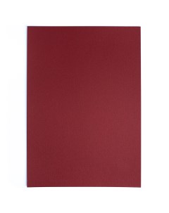 Бумага для пастели GrafArt А4 270 г охра красная Малевичъ