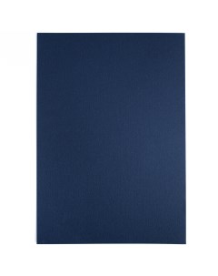 Бумага для пастели GrafArt А4 270 г синяя Малевичъ
