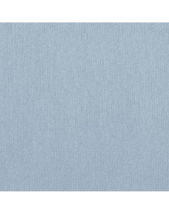 Бумага для пастели Палаццо 70x100 см 160 г голубая Лилия холдинг