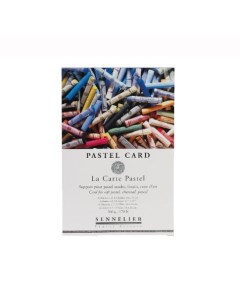 Альбом склейка для пастели Pastel Card 24х32 см 12 л 360 г 6 цветов Sennelier