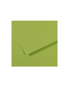 Бумага для пастели MI TEINTES 50x65 см 160 г 475 зеленое яблоко Canson