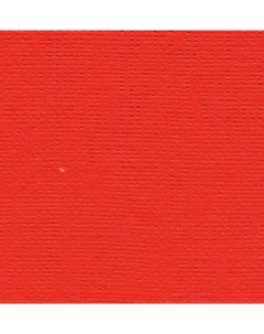 Бумага для пастели Палаццо 70x100 см 160 г красный Лилия холдинг