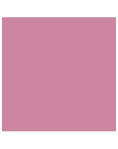 Маркер спиртовой PROMARKER цв R327 розовый темный Winsor & newton