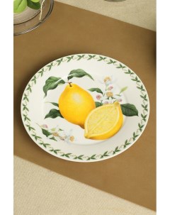 Десертная тарелка из фарфора с рисунком Maxwell & williams