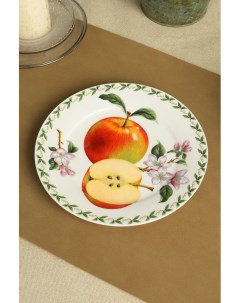 Тарелка из фарфора с принтом яблок Maxwell & williams