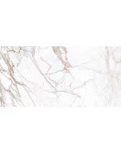 Плитка Marble Trend K 1001 MR Calacatta Gold 30x60 Kerranova