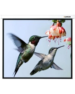 Экран для проектора Lumien Master Picture (16:9) 105 130x232 Matte White FiberGlass