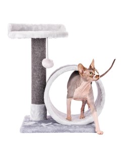 Когтеточка столбик Алжир высота 60 см из ковролина с игрушкой для кошек серый Домоседы