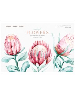 Альбом для рисования на скрепке Flowers collection А4 40 л 120 г Greenwich line