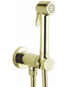 Гигиенический душ Paloma Brass Mixer Set со смесителем золото E37005B 021 Bossini