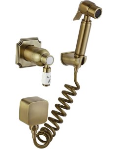 Гигиенический душ Concealed 24C0784 Bronze Set 49 со смесителем Elghansa
