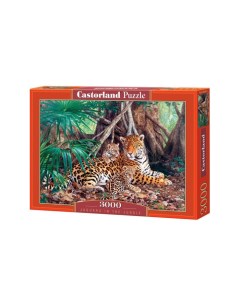 Пазлы Ягуары в джунглях 3000 элементов Castorland