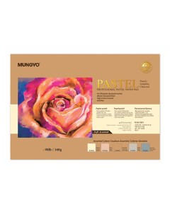 Альбом склейка для пастели Pastel А4 30 л 160 г 5 цветов х 6 листов Mungyo