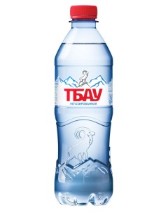 Вода питьевая негазированная 500 мл Тбау