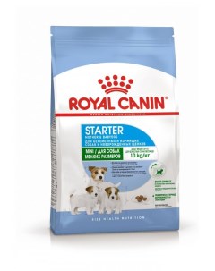 Сухой корм для щенков и мелких кормящих собак Mini Starter 1 кг Royal canin
