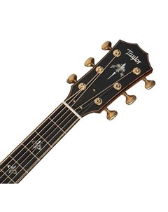 Акустические гитары 914ce 900 Series Taylor