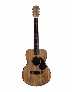 Акустические гитары EMBW 6 Maton