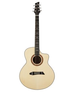 Акустические гитары GT500 Ng