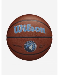 Мяч баскетбольный NBA Team Alliance Mini Timber Коричневый Wilson