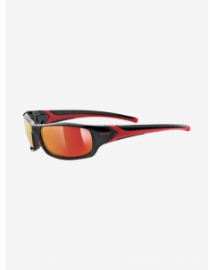Солнцезащитные очки Sportstyle 211 Черный Uvex