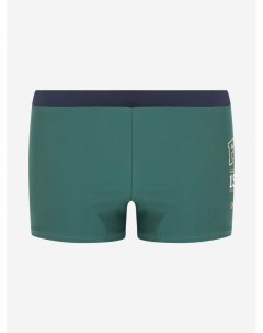 Плавки шорты для мальчиков Зеленый Fila