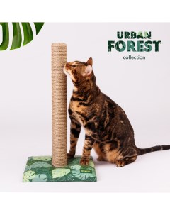 Когтеточка столбик из джута для кошек Urban Forest 30х30х54 см Rurri