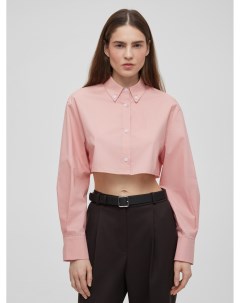 Рубашка женская короткая из хлопка Aimclo