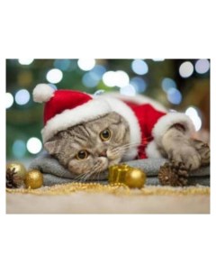 Алмазная мозаика 30 40 см C подрамником с полным заполнением 28 цв Милый новогодний котик Рыжий кот (red cat toys)