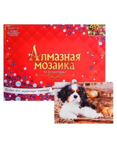 Алмазная мозаика с полным заполнением 30 40 см Щеночек Рыжий кот (red cat toys)