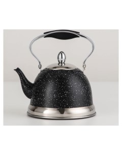 Чайник заварочный с ситом Звёздное небо 1 2 л индукция цвет чёрный Nnb