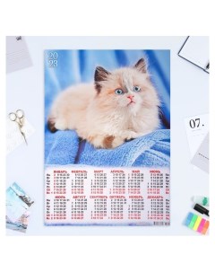 Календарь товой А2 Кошки 2023 3 Лис