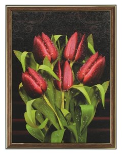 Картина Бордовые тюльпаны 33 43 см Nnb