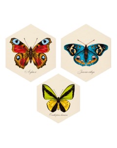 Комплект картин на холсте Бабочки 3 шт Нет марки