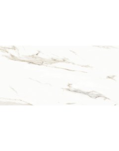 Керамогранит Splendida N12028 Marmol Carrara Polished 60х120 см Neodom