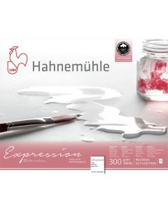 Альбом склейка для акварели Hahnemuhle Expression 40х50 с з 20 л 300 г 100 хлопок Hahnemuhle fineart
