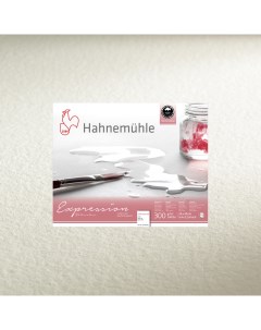 Альбом склейка для акварели Hahnemuhle Expression 24х30 см 300г 20л среднее зерно хлопок 100 Hahnemuhle fineart