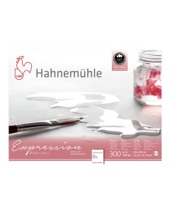 Альбом склейка для акварели Hahnemuhle Expression 30х40 см 20 л 300 г 100 хлопок среднее зерно Hahnemuhle fineart