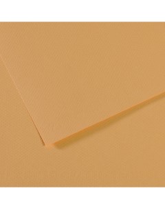 Бумага для пастели MI TEINTES 50x65 см 160 г 340 конопляный Canson